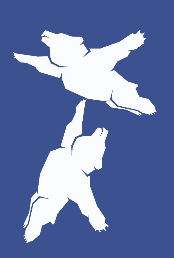 "Воздушная берлога": новый логотип хабаровского аэропорта 