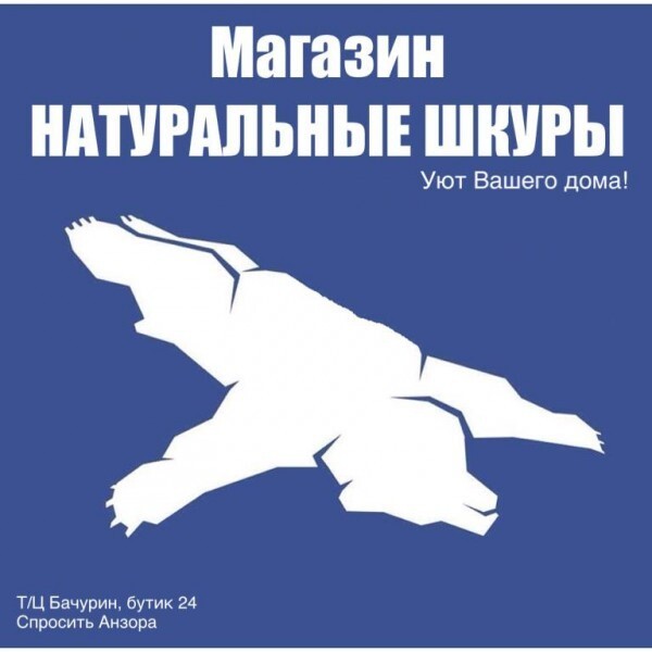 "Воздушная берлога": новый логотип хабаровского аэропорта 