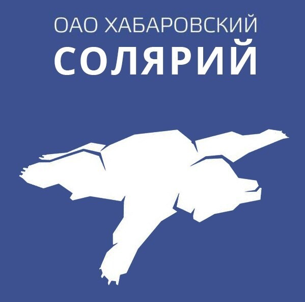 Фотожаба: логотип аэропорта в Хабаровске