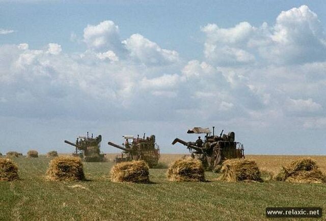 Возвращение в СССР в фото