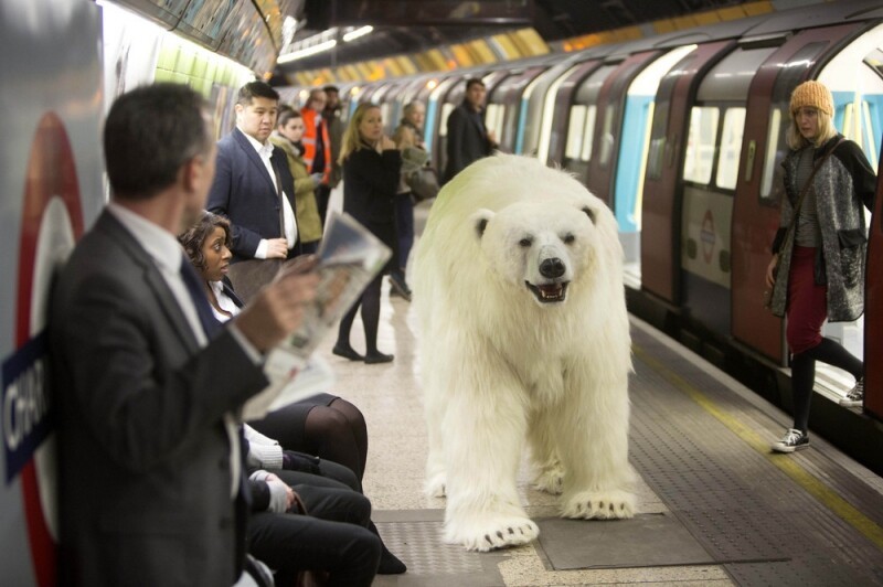 Полярный медведь в лондонском метро