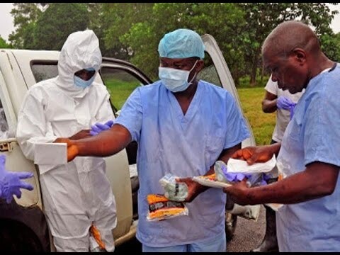 Вирус Эбола: как не стать жертвой вируса?  