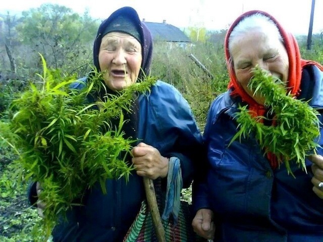 Бабушки старушки