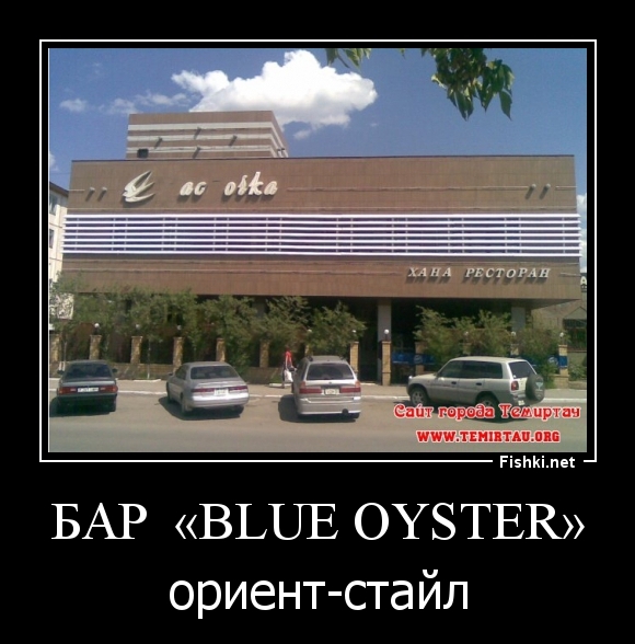 Бар  «Blue Oyster»
