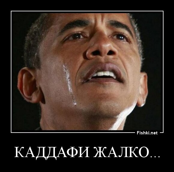 КАДДАФИ ЖАЛКО...