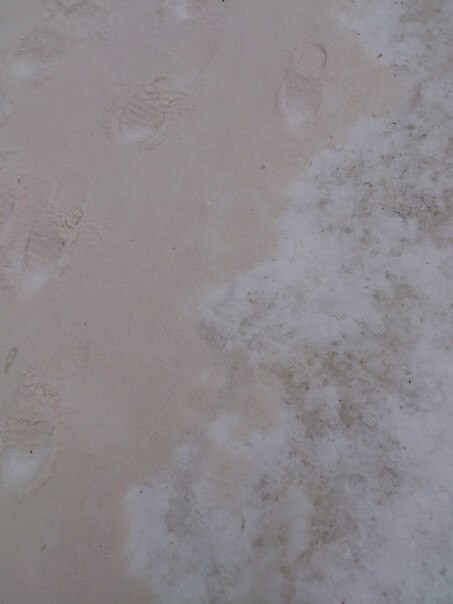 Снег с песком пустыни Сахары выпал в Саратове
