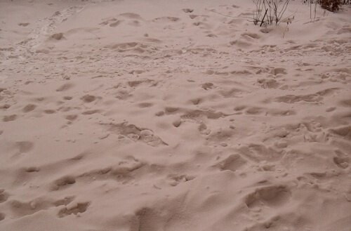 Снег с песком пустыни Сахары выпал в Саратове