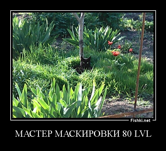 Мастер маскировки 80 lvl