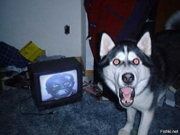 блеать,кто это