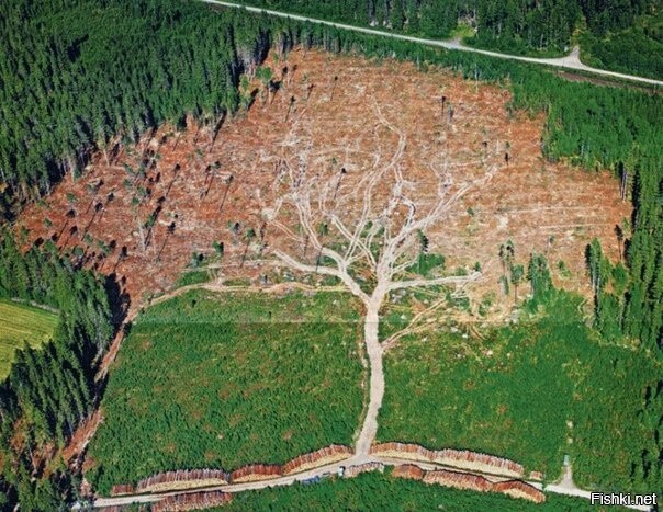 Памятник вырубленным деревьям