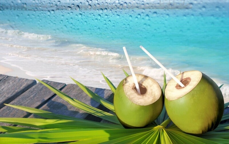 Так ли чудодейственна кокосовая вода? 