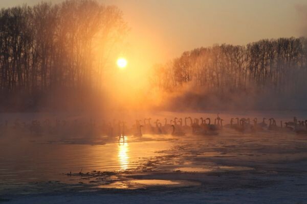 В Алтайском крае в аномальные морозы 