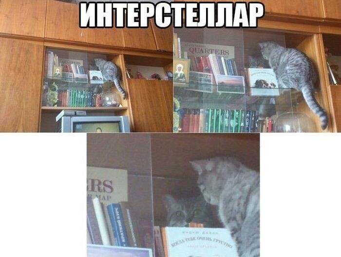 Просто прикольные картинки