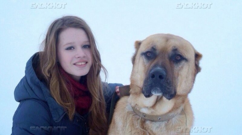 В Волгограде школьница спасла пса, отравленного догхантерами