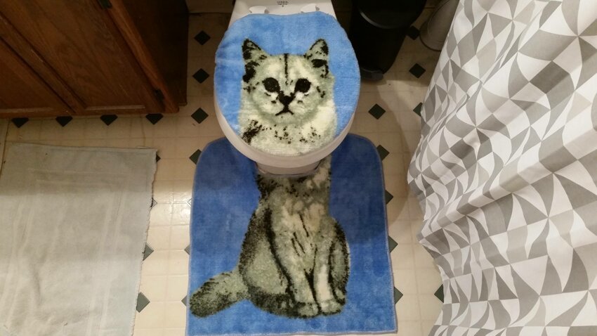 Кот в туалете