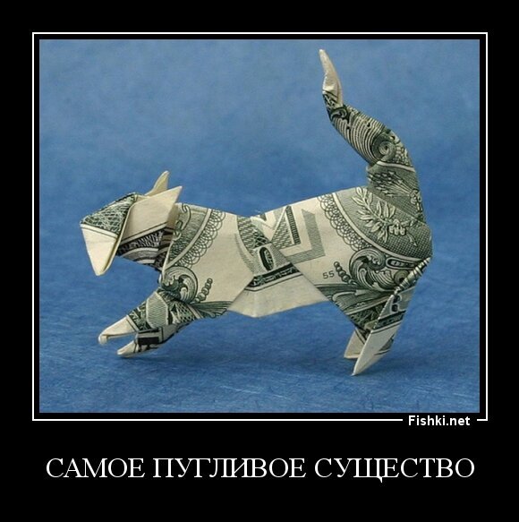 самое пугливое существо