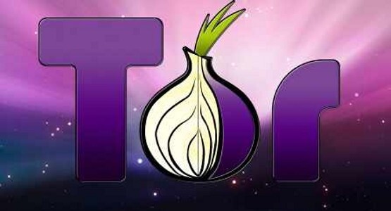 В Думе предложили ввести досудебную блокировку Tor