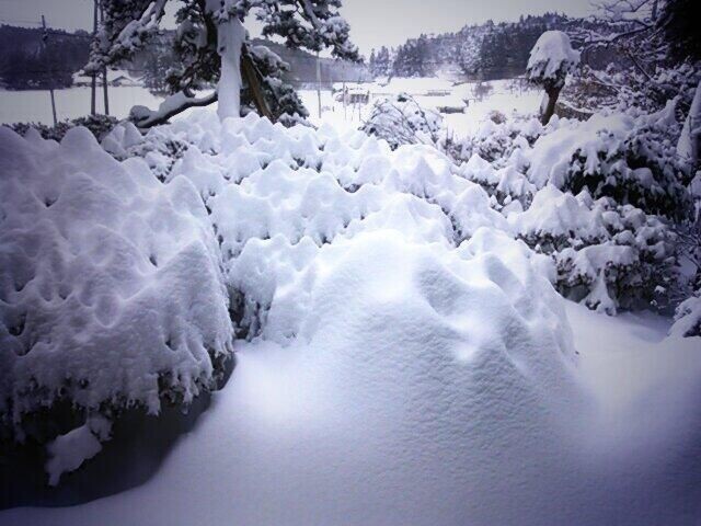 Ни один мастер не вылепит из снега то, что может вылепить природа