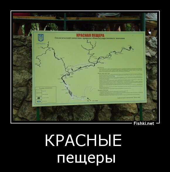 красные 