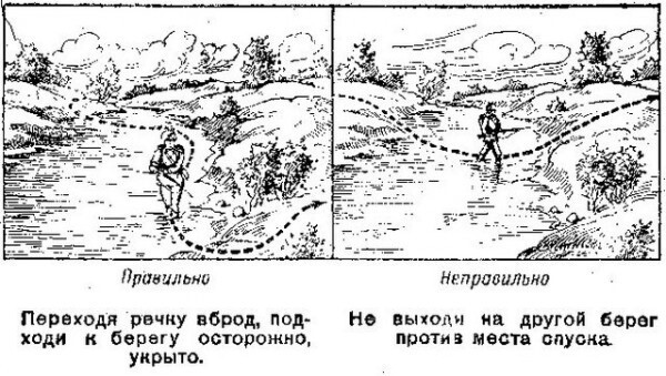 Курс молодого разведчика