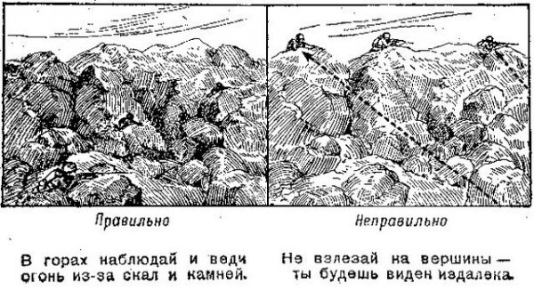 Курс молодого разведчика