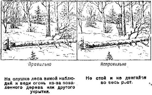 Курс молодого разведчика