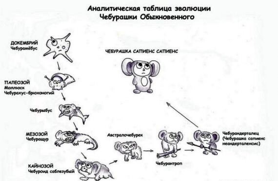 Русская Чебурашка. Суровая и беспощадная