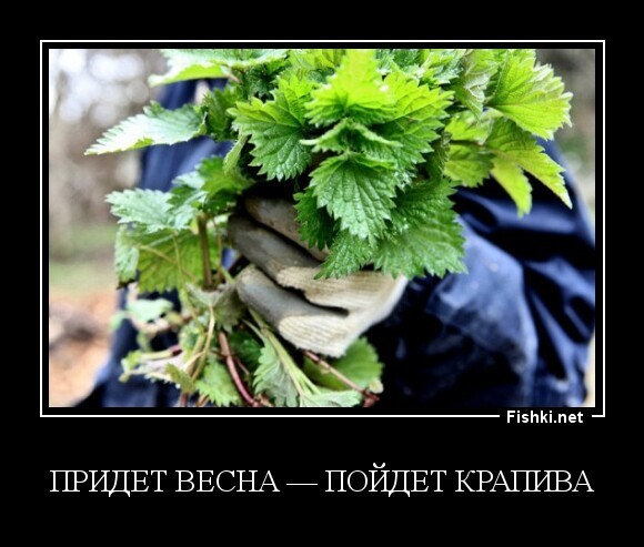 Придет весна — пойдет крапива