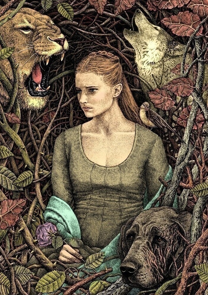 Сказочные иллюстрации Магдалены Корженевска