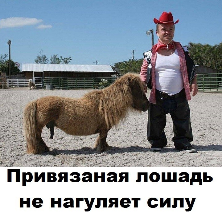 Мудрость индейцев