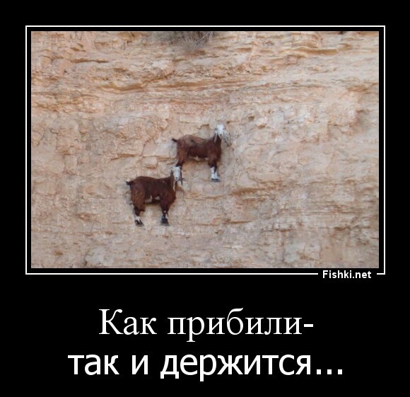 Как прибили-