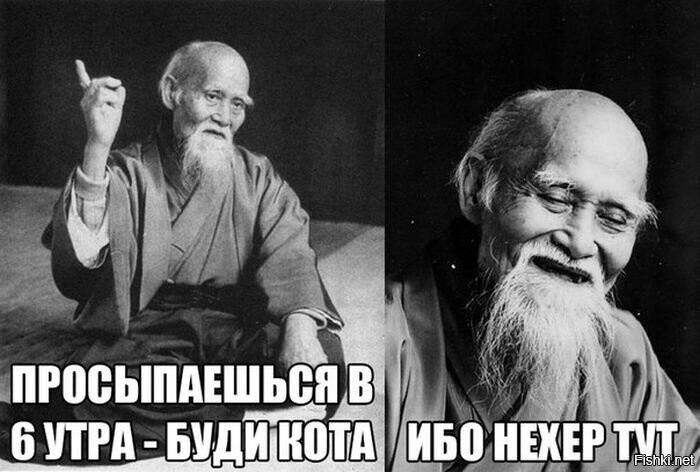 Из солянки