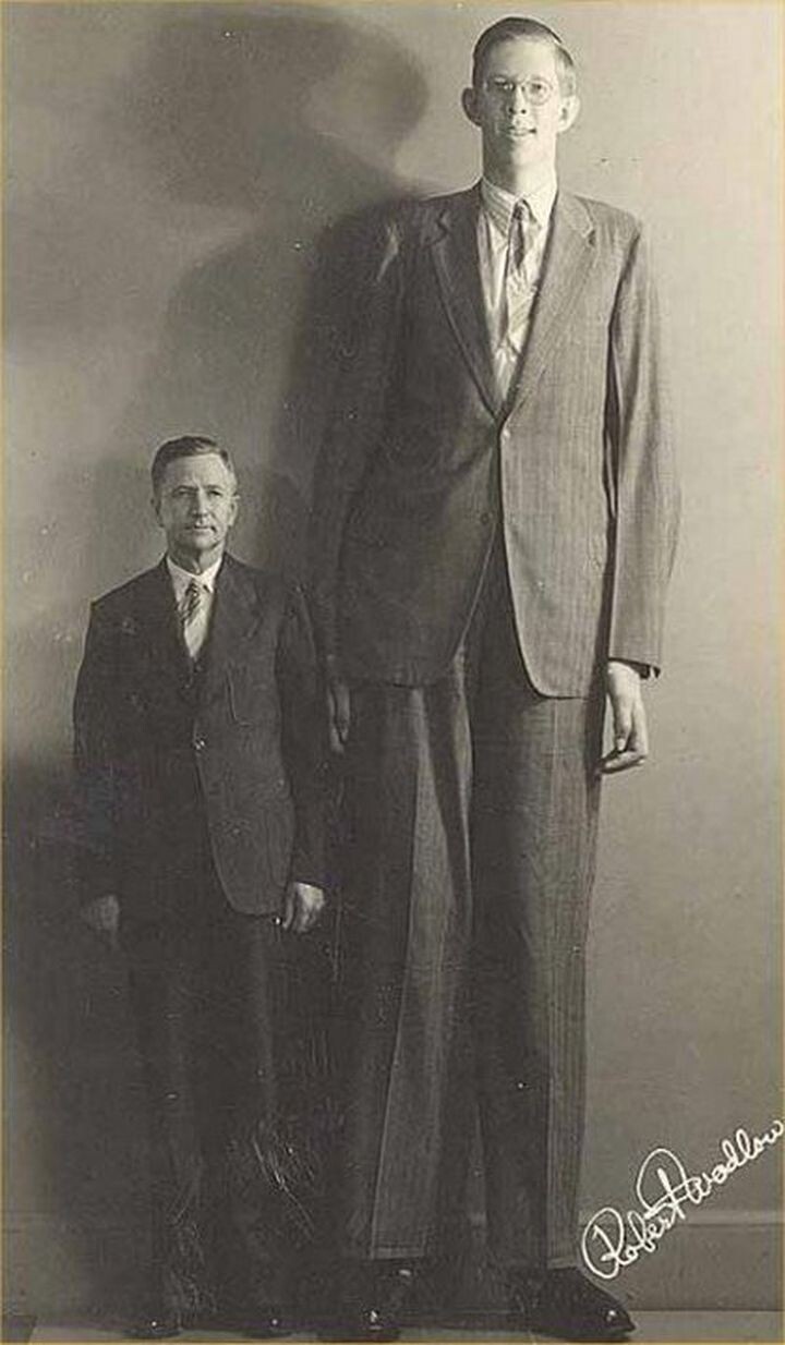 Самый высокий человек в истории