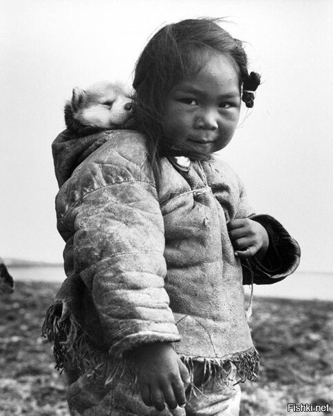 Девочка эскимос со своим щенком хаски, 1949 г