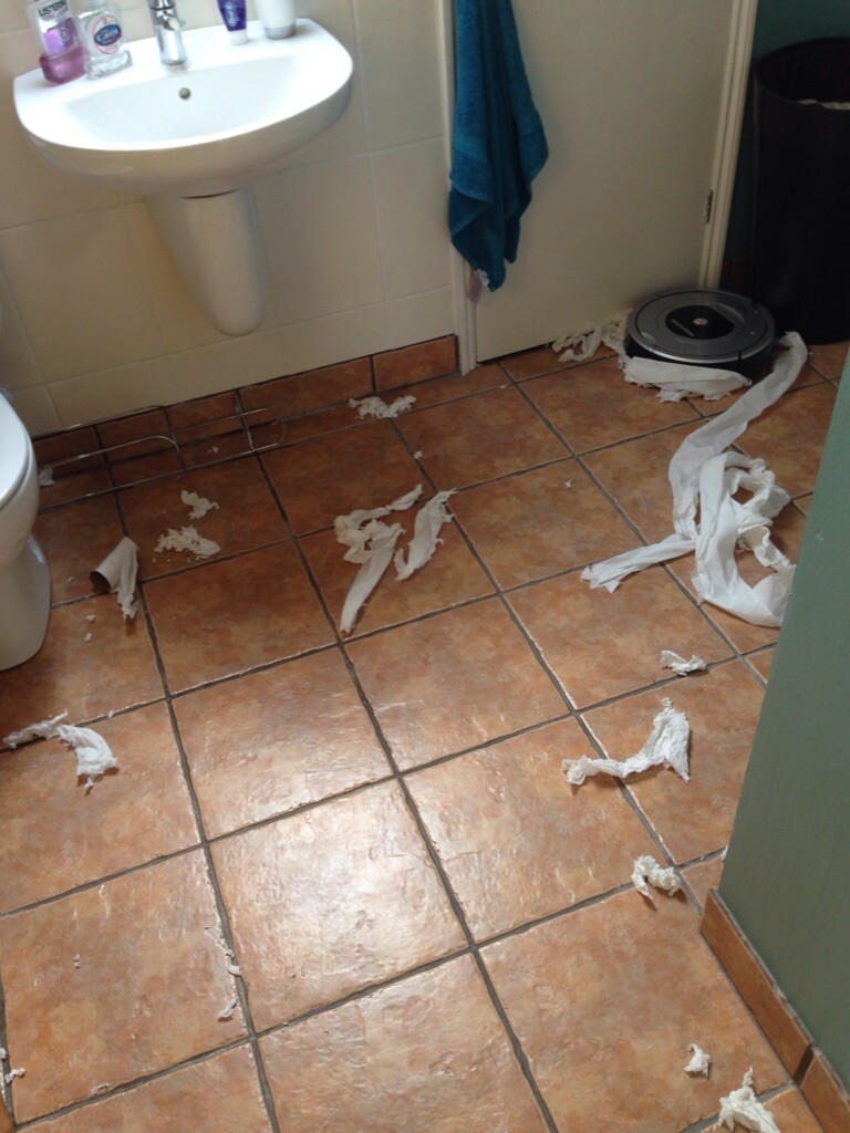 Расправился с туалетной бумагой