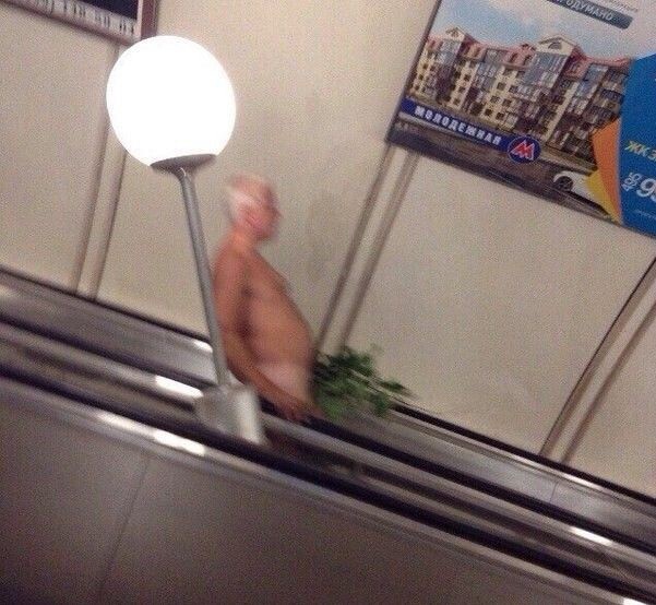 Необычные пассажиры в метро Санкт-Петербурга