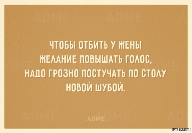 Из солянки