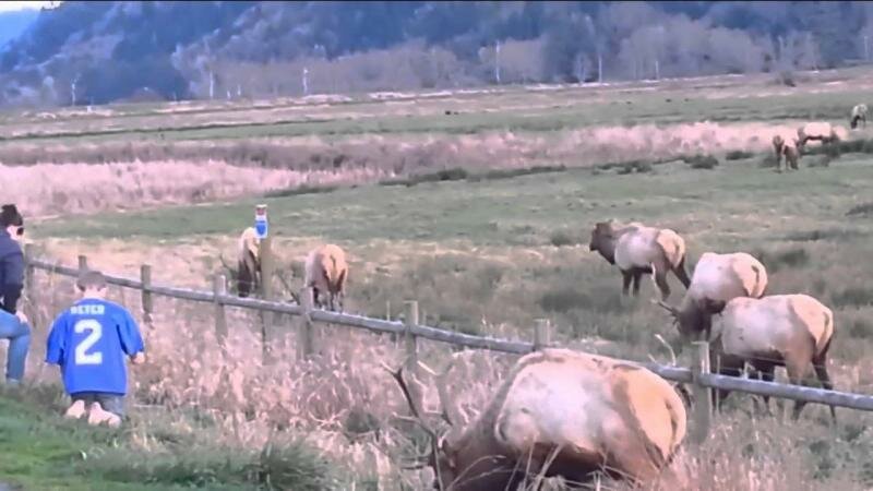 Лучший сборник неудач этой недели   