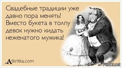 Из солянки