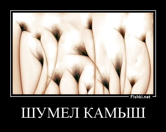 шумел камыш