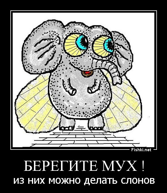 берегите мух !