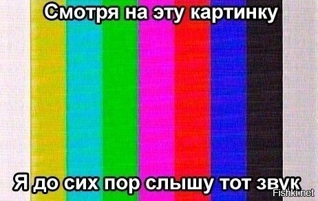 Из солянки