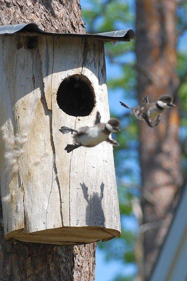 15 фотографий о нашей многогранной жизни