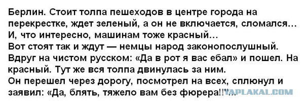 Пост прикольные картинок и не только