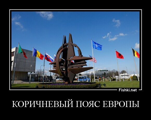 коричневый пояс европы