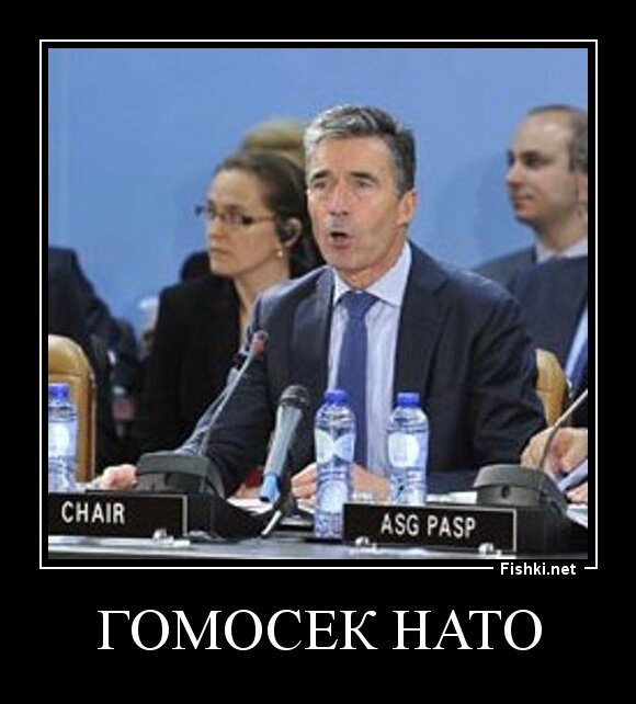 гомосек нато