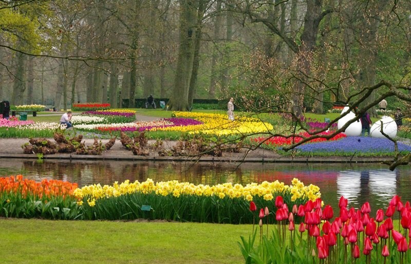 Кекенхоф (Keukenhof) - королевский парк цветов в Нидерландах