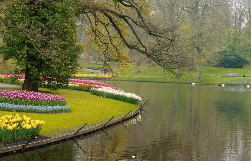 Кекенхоф (Keukenhof) - королевский парк цветов в Нидерландах