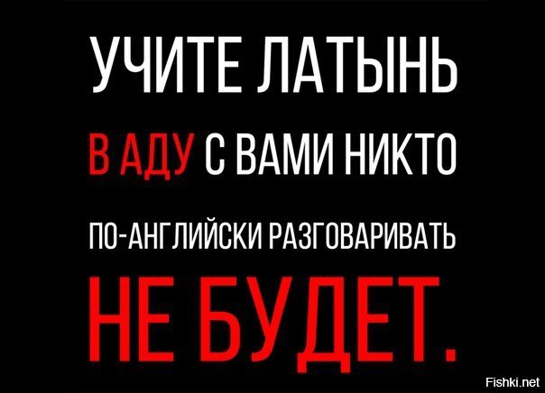 Из солянки