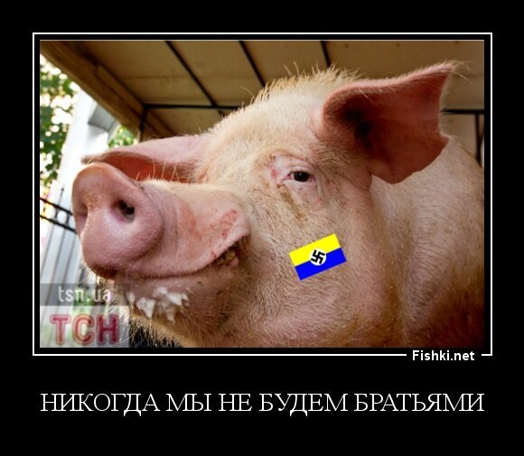 никогда мы не будем братьями